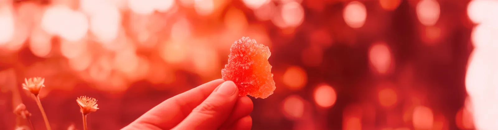 Where to Buy Freeze-Dried Candy